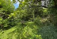 *** Charmantes Landhaus, 154m², Teilsaniert mit großem Gartenanteil und viel Potenzial ***