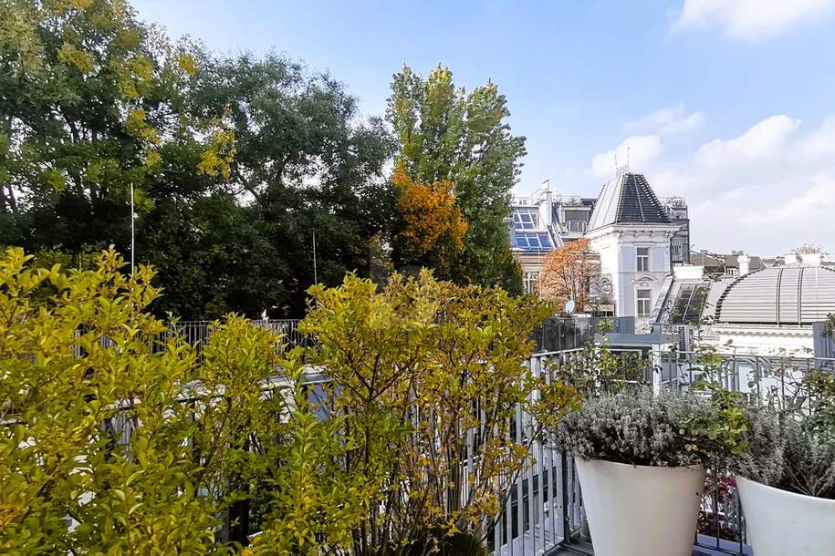 ÜBER DEN DÄCHERN DER STADT - GRANDIOSE DACHGARTENLANDSCHAFT, Wohnung-kauf, 895.000,€, 1040 Wien 4., Wieden