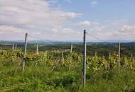 Blick ins Steirerland - für Liebhaber des BESONDEREN an der weststeirischen Schilcherweinstraße