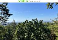 Wohnen mit Weitblick – stilvolle, möblierte Wohnung in begehrter Lage am Gaumberg