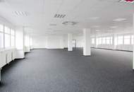 Lagerhalle 650 m2 mit Büro 450 m2 Kombination südlich von Wien, in Wr. Neudorf