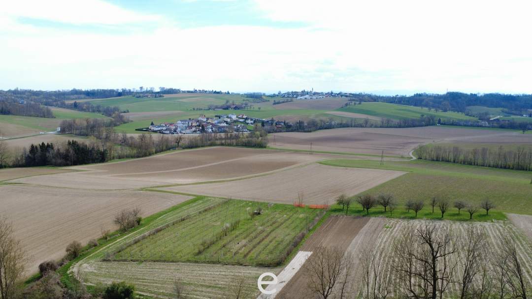 4,2 ha Ackerland in Straßham (nähe Alkoven) zu verkaufen!