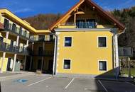 Zinshaus mit 14 Wohnungen und Erweiterungsfläche- Liebevoll renoviertes ehemaliges Herrenhaus einer Sensenschmiede