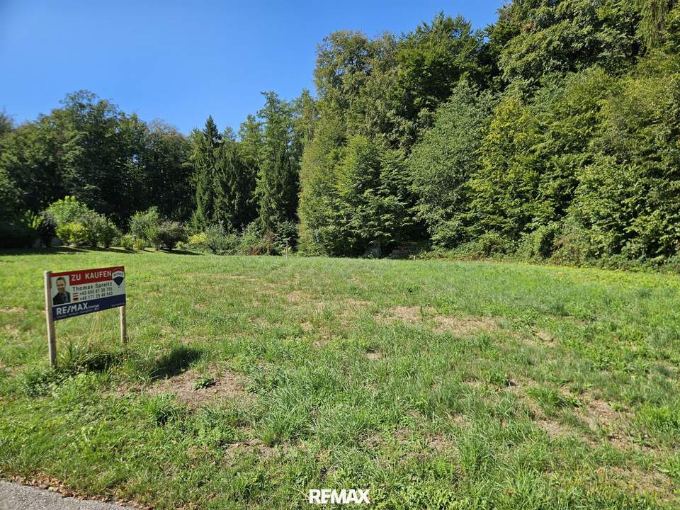 Baugrund in Ruhiger Waldrandlage