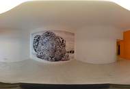 Einfamilienhaus mit großzügiger Halle und viel Potenzial in ruhiger Lage