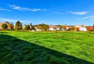 Wohnen im Grünen – mit der Stadt in greifbarer Nähe