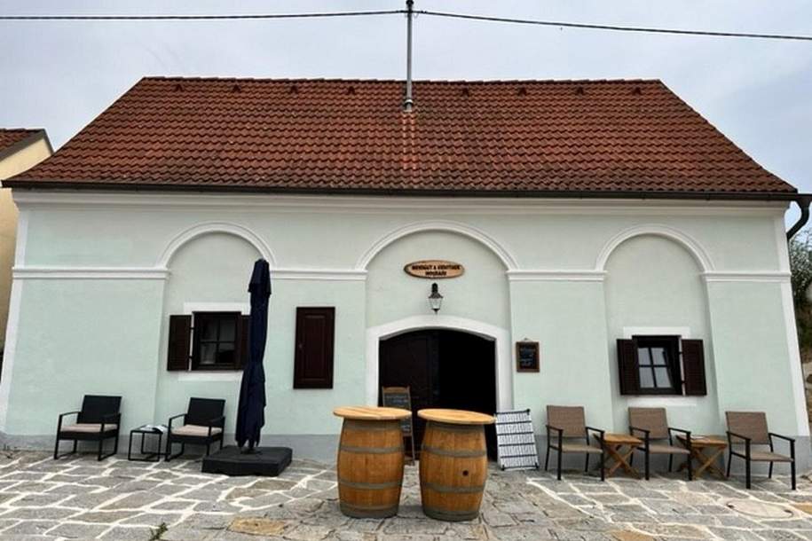 Top sanierter betriebsbereiter Weinkeller mit Weingarten am Wagram - touristische Nutzung möglich, Gewerbeobjekt-kauf, 280.000,€, 3483 Tulln