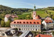 Luxus-Dachgeschoss 133,81 m² mit Terrasse, Designer-Inselküche & Spa-Bad – Weinbergblick + Poolnutzung - Voll möbliert