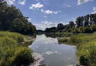 Leben gleich neben dem Nationalpark Donauauen nahe Wien