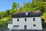 Ihr Rückzugsort im Grünen - charmantes Einfamilienhaus samt Grundstück und Waldanteil