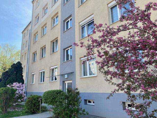 Gepflegte 3-Zimmer-Wohnung im Erdgeschoß! Loggia!