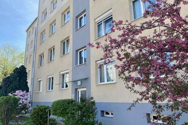 Gepflegte 3-Zimmer-Wohnung im Erdgeschoß! Loggia!, Wohnung-kauf, 175.000,€, 2700 Wiener Neustadt(Stadt)