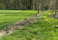 Naturidyll im SÜDBURGENLAND – Teichanlage mit großem Potenzial