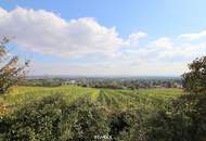Eigengrund: Grünland mit Gartenhaus - Großes Grundstück in Mauer am Kadoltsberg - direkt am Lainzer Tiergarten