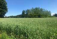 Großes Baugrundstück mit hohem Freizeitwert!