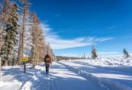 FERIENIMMOBILIE / Kärnten - Hochrindl! Traumhafte Chalets mit herrlichem Blick über das Kärntner Land.