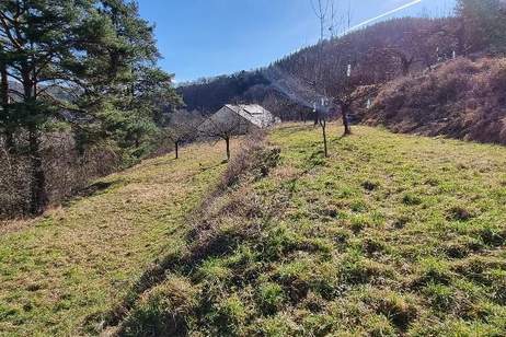 RARITÄT IN SENFTENBERG - GELEGENHEIT AUF EINEN WEINKELLER MIT SCHÖNEM KELLERGEBÄUDE, KELLERRÖHRE SOWIE GARTENHAUS AUF HERRLICHEM TEILWEISE ALS BAULAND GEWIDMETEN GRUNDSTÜCK, Grund und Boden-kauf, 75.000,€, 3541 Krems(Land)