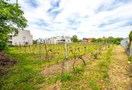 Langenloiser Straße 47- Grundstück aus Familienbesitz mit Garten und Weingarten (zwei Einheiten)