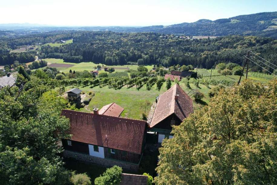 Ein eigenes Reich hoch über den Weinbergen in Plateaulage - alte weststeirische Baukultur trifft neue Ausbaumöglichkeiten, Haus-kauf, 1.750.000,€, 8511 Deutschlandsberg
