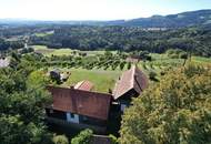 Ein eigenes Reich hoch über den Weinbergen in Plateaulage - alte weststeirische Baukultur trifft neue Ausbaumöglichkeiten