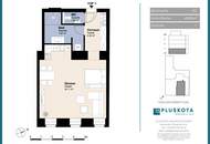 unbefristet vermietetes 1-Zimmer-Altbauatelier