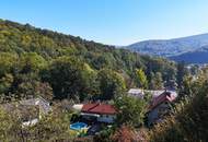 Sonniger Osthang mit Althaus in erhöhter, ruhiger Traumlage am Waldrand