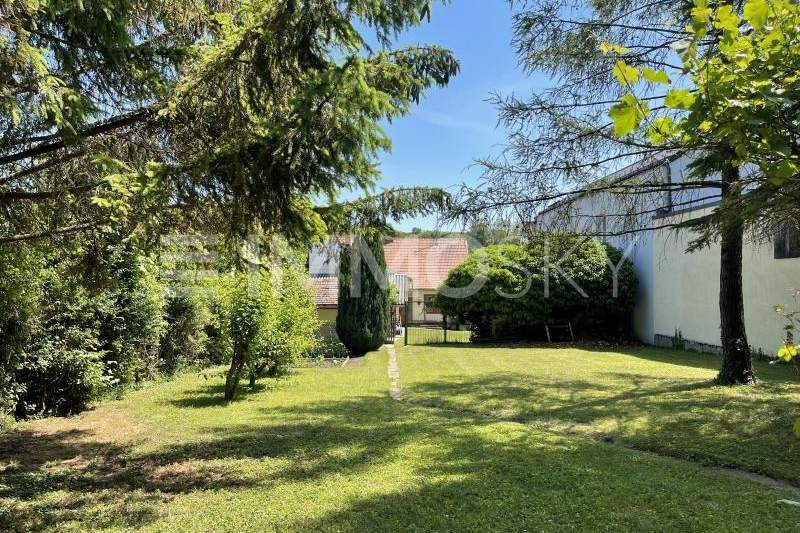 Grundstück mit verträumten Bauernhaus und Erdkeller!, Haus-kauf, 269.000,€, 2123 Mistelbach