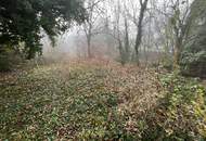 Sanierungsbedürftiges Haus auf großem Grundstück! Erwecken Sie es aus dem Dornröschenschlaf!