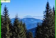 GRUNDSTÜCK IN PISTENNÄHE | FREIZEITWOHNSITZ INKLUSIVE