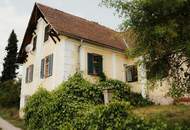 Bad Waltersdorf: Einzigartiger Vierkanthof mit ca. 10.300 m² Grund – Wohnen, Pferde & grenzenlose Möglichkeiten