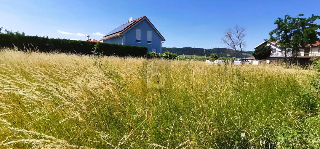 MIT BLICK ZUM LEITHAGEBIRGE UND NEUSIEDLERSEE