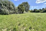 Traumhaftes Grünland Grundstück mit Fischteich in Prellenkirchen 18064m2 – Ihr Platz für Visionen!