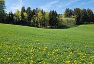 Bauernhof, Landwirtschaft, Alleinlage, Aussichtslage