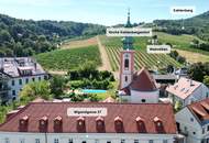 Eingebettet zwischen den „Weinbergen“ und „Donau“ – sofort beziehbar inkl. Küche in charmanten „Freihof“! - JETZT ZUSCHLAGEN
