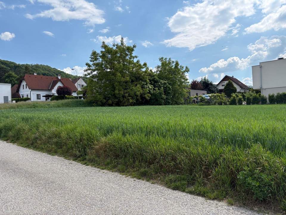 "Sonnengrundstück in der Sackgasse"
