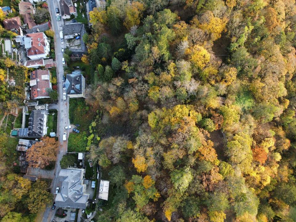 Baugrundstücke in besonders schöner Villen-Grünruhelage! Inkl. Bebauungskonzept!