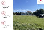 Gols | Baugrundstück in Top-Lage | 5.000 m²