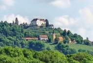 Herrliche Alleinlage: Großzügiges Einfamilienhaus (155m²) mit ehemaligem Wirtschaftsgebäude inmitten der Weinberge mit Blick auf Schloss Kapfenstein!