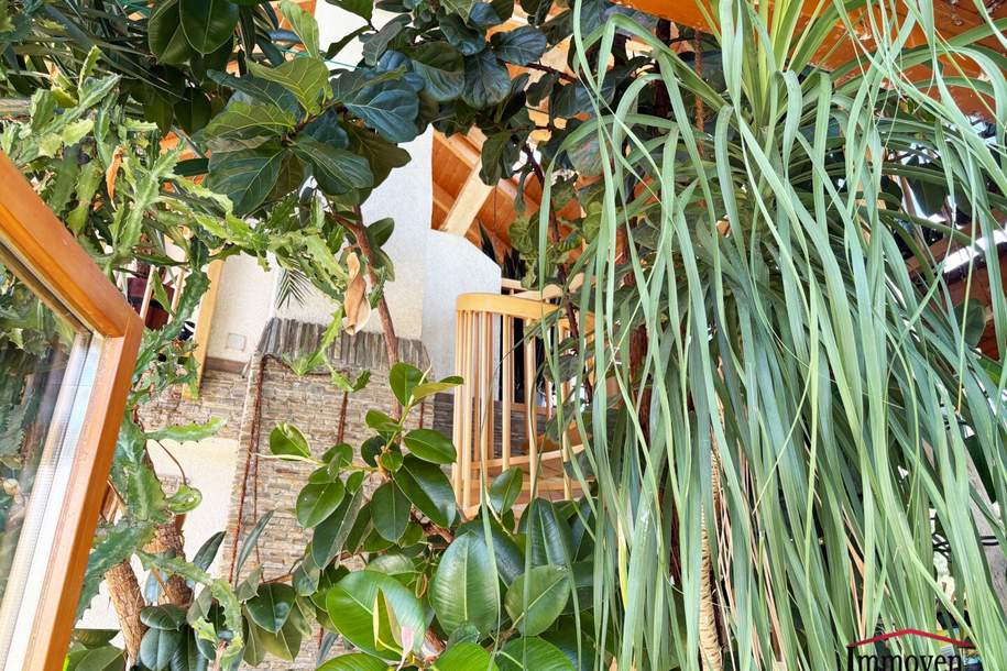 WUNDERSCHÖNER WINTERGARTEN und großes Einamilienhaus VOLL MÖBLIERT in begehrter Lage in Wagram (St. Pölten), Haus-kauf, 399.000,€, 3100 Sankt Pölten(Stadt)