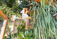 WUNDERSCHÖNER WINTERGARTEN und großes Einamilienhaus VOLL MÖBLIERT in begehrter Lage in Wagram (St. Pölten)