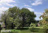 Bauland mit landwirtschaftlichem Gebäude und Altbaumbestand