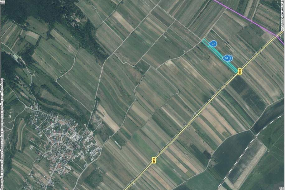 Weinberg – 11.559 m² in ausgezeichneter Lage zwischen Purbach und Breitenbrunn, Gewerbeobjekt-kauf, 58.000,€, 7083 Eisenstadt-Umgebung