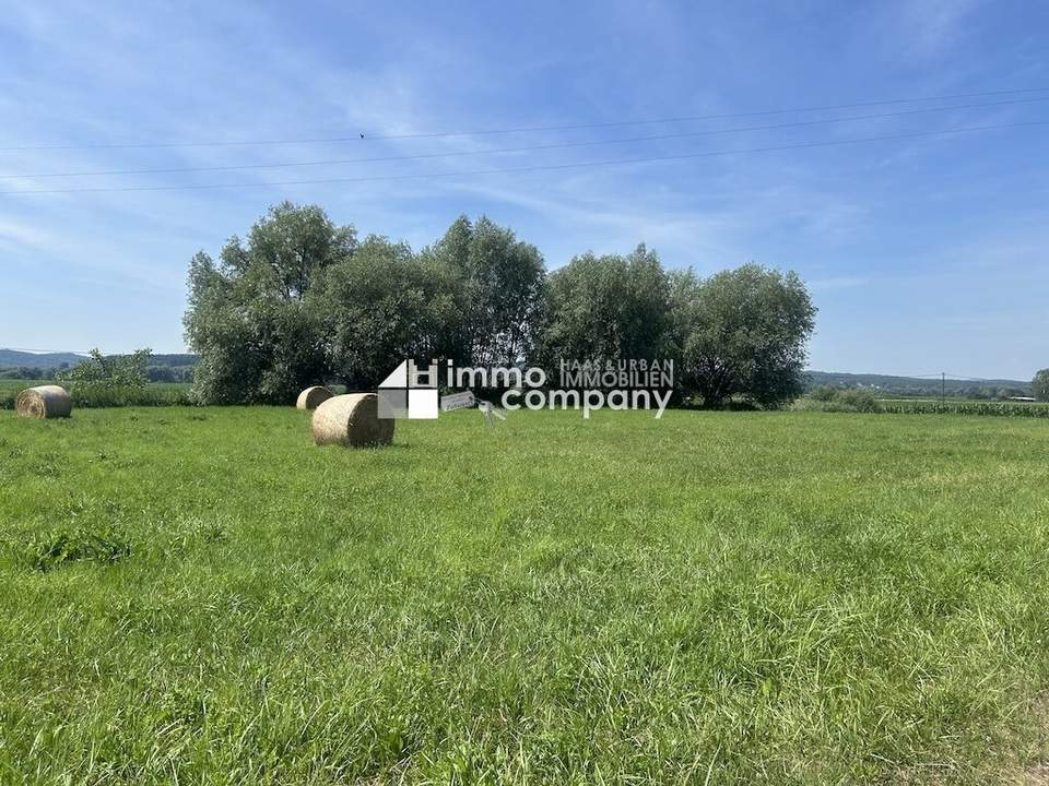 Sonnige, zentrumsnahe Baugründe – 3 Stück – Jennersdorf – 25,- bzw. 30,- Euro /m²
