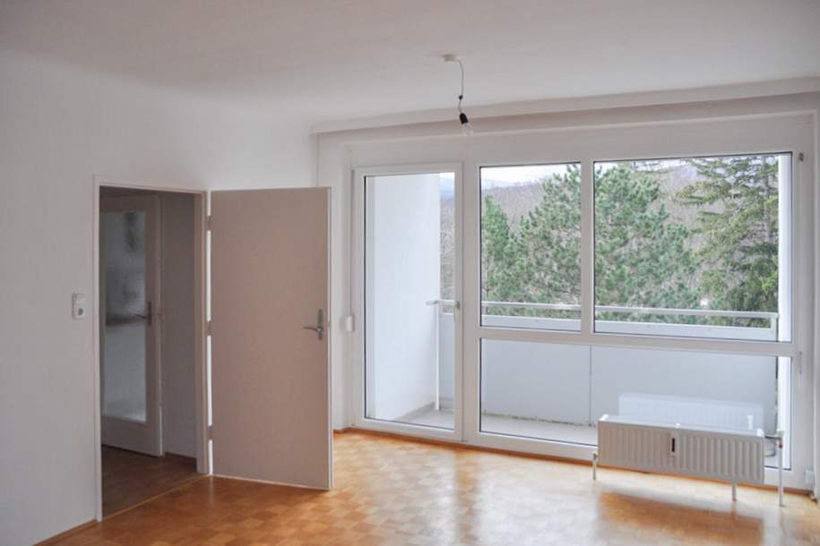 Loggiawohnung am Doblhoffpark, Wohnung-kauf, 398.000,€, 2500 Baden