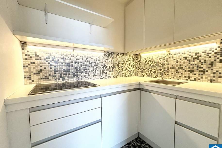Laurenzi am Fluss- Wohnen und Arbeiten mit Weitblick!, Wohnung-kauf, 399.000,€, 1010 Wien 1., Innere Stadt