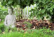 Rodaun: "Architektonische Präsenz zwischen Wien und Perchtoldsdorf" | ZELLMANN IMMOBILIEN