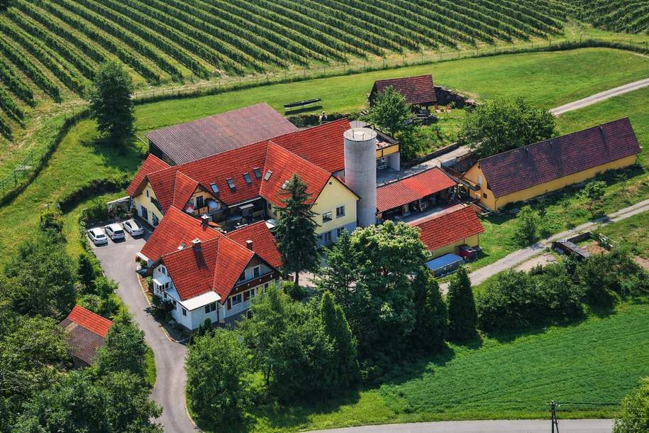 Bäuerliches Anwesen mit Kellerstöckl, Wirtschaftsgebäuden und sechs Wohneinheiten in St. Nikolai im Sausal, Haus-kauf, 8505 Leibnitz