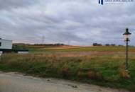 Traumhaftes Baugrundstück in Tresdorf – Ihr Eigenheim auf 782 m² wartet! 391.000 €