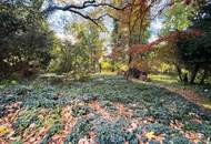Attraktives Baugrundstück in Altenberg bei St. Andrä-Wördern
