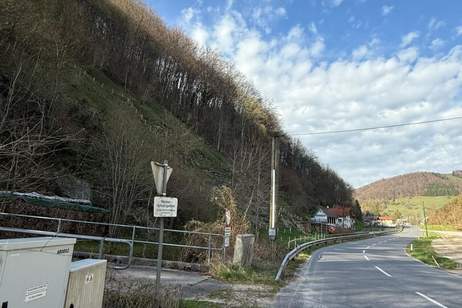 Vollvermietetes Zinshaus mit 4 Einheiten, kein Sanierungsaufwand. Rendite ca. 10%, Wohnung-kauf, 480.000,€, 4460 Steyr-Land